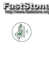 What Program Should I Use to Make a Logo